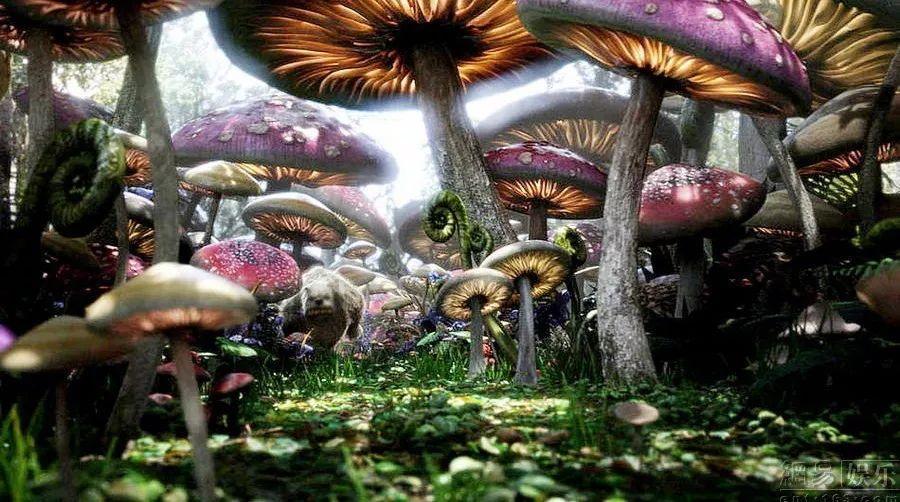 加强人才培养,赋能汽车零部件产业发展
